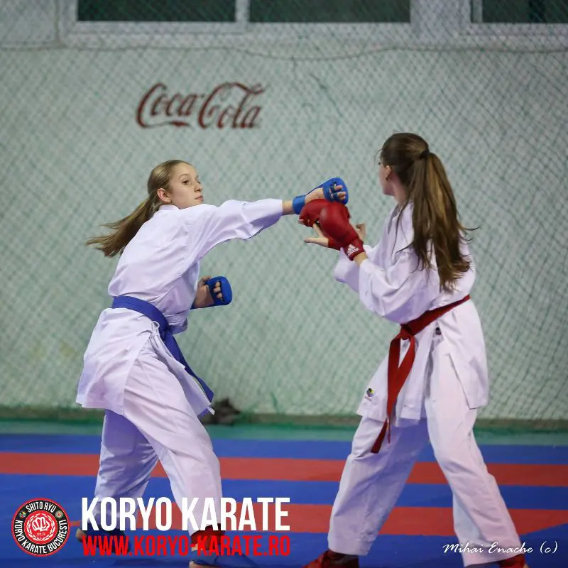 CN Karate Interstiluri 2017