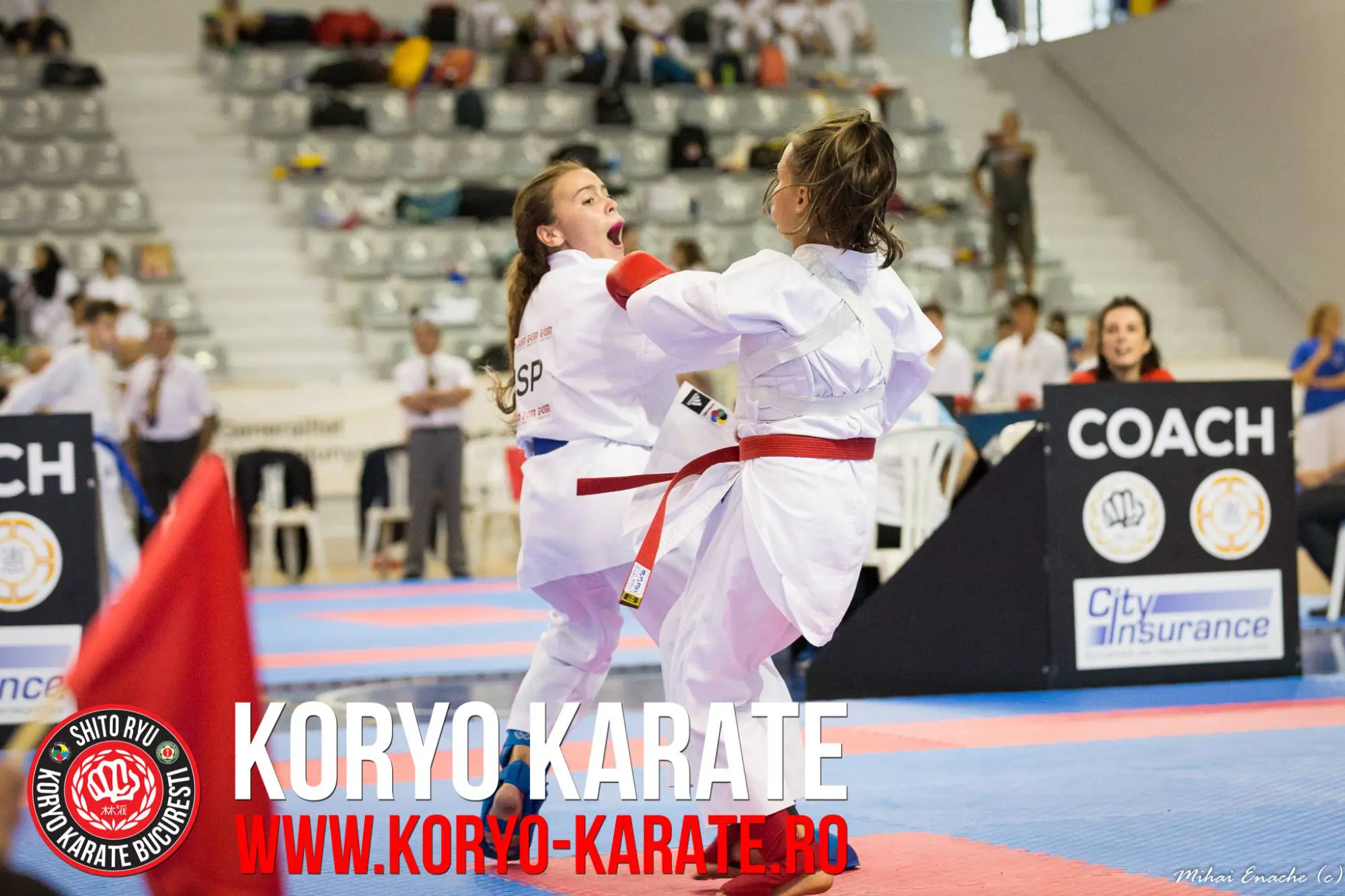Campionatul Mondial - Koryo Karate