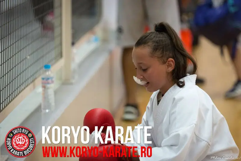 Campionatul Mondial - Koryo Karate